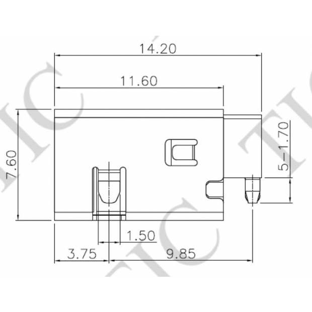 TDC-299-C.JPG