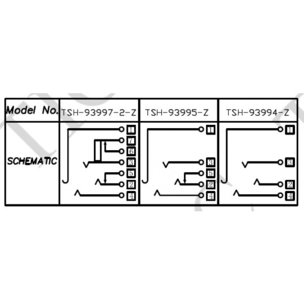 TSH-9399-Z-E.JPG