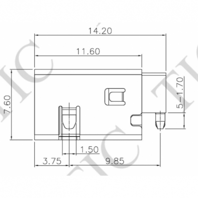 TDC-299-C.JPG